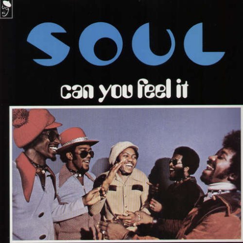 Cover for S.o.u.l. · Can You Feel It? (LP) (1996)
