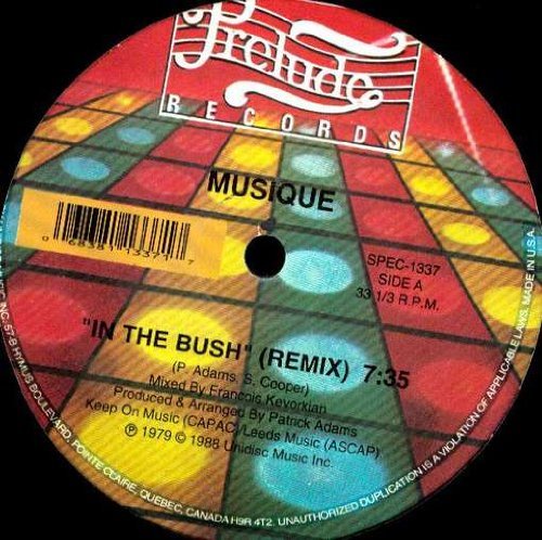 Cover for Musique · In The Bush / Keep On Jumpin' (LP) (2005)
