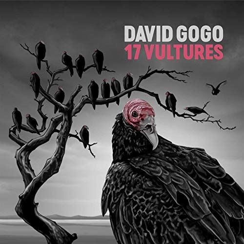 Cover for David Gogo · 17 Vultures (LP) (2019)