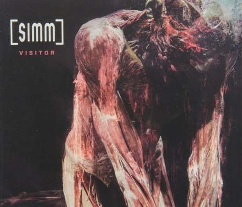 Cover for Simm · Visitor (CD) (2013)