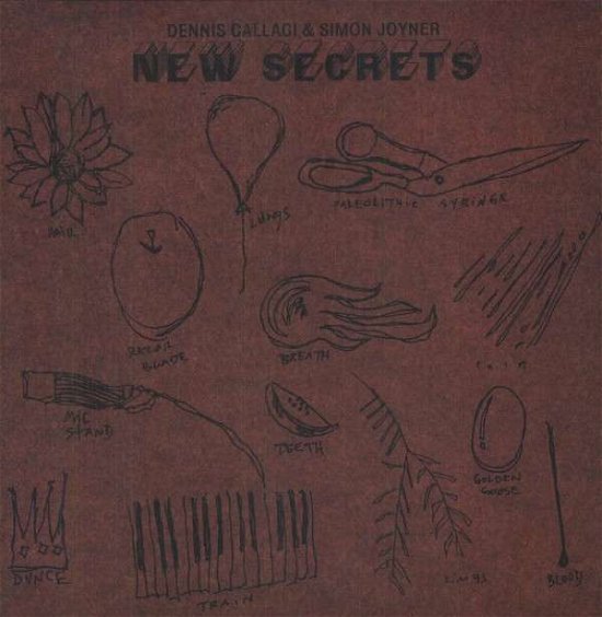 New Secrets - Simon Joyner - Musik - SHRIMPER - 0759718116717 - 6. juni 2013