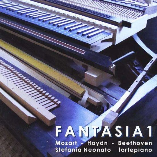 Cover for Stefania Neonato · Fantasia I (CD) (2010)