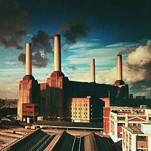 Cover for Pink Floyd · Animals (LP) [180 gram edition] (2016)