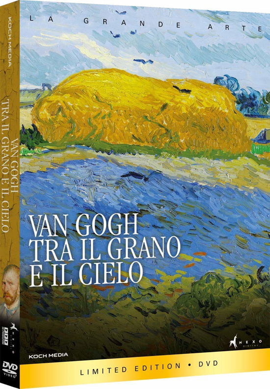 Cover for Van Gogh · Tra Il Grano E Il Cielo (DVD) (2022)
