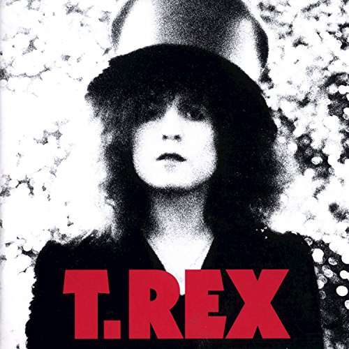 The Slider <limited> - T Rex - Music - VICTOR ENTERTAINMENT INC. - 4988002738717 - September 13, 2017