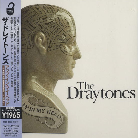 Draytones-up in My Head - Draytones - Muzyka -  - 4988017659717 - 