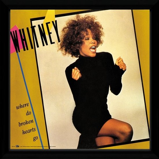 Cover for Whitney Houston · Whitney Houston: Where Do Broken Hearts Go (Lp In Cornice) (MERCH)