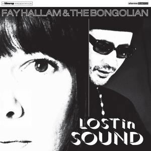 Cover for Hallam, Fay &amp; Bongolian · Lost In Sound (LP) (2012)