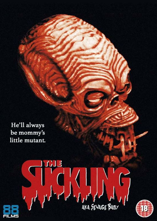 Cover for The Suckling (DVD) (2016)