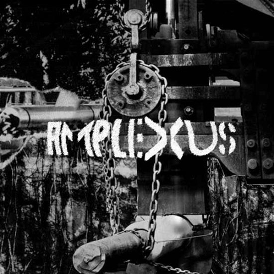 Amplexus · Melting Away - Fierce Detrunctation (CD) (2024)
