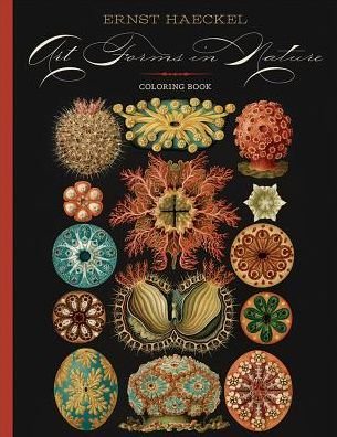 Cover for Ernst Haeckel · Ernst Haeckel  Art Forms in Nature Coloring Book (Pocketbok) (2016)