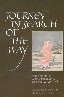 Cover for Sallie B. King · Journey in Search of the Way (Hardcover Book) [New Ed edition] (1993)