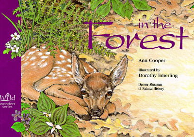 Cover for Ann Cooper · In the Forest (Paperback Book) (1996)