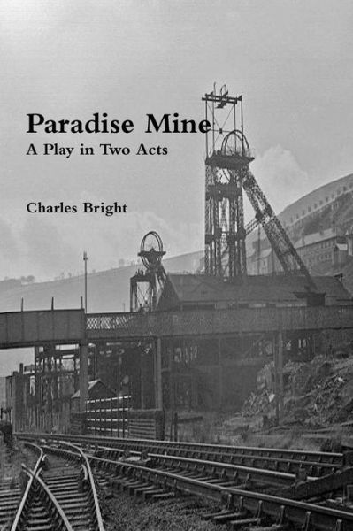 Cover for Charles Bright · Paradise Mine (Paperback Book) (2014)