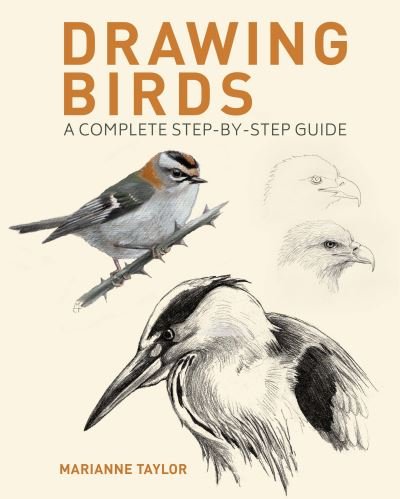 Cover for Marianne Taylor · Drawing Birds: A Complete Step-by-Step Guide (Taschenbuch) (2023)