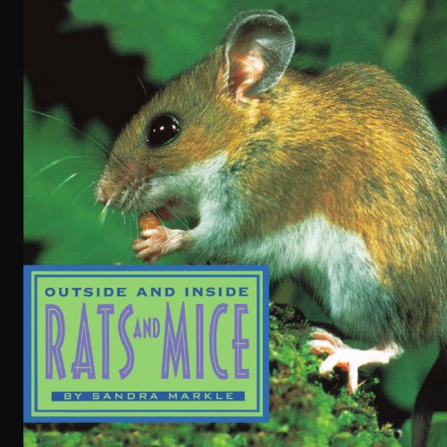 Cover for Sandra Markle · Outside and Inside Rats and Mice (Outside Inside) (Taschenbuch) (2008)