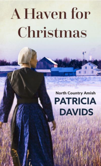 Cover for Patricia Davids · A Haven for Christmas (Hardcover Book) (2021)