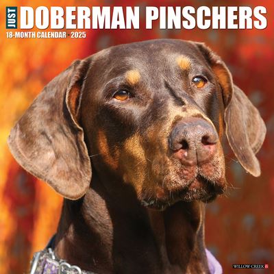 Willow Creek Press · Just Dobermans 2025 12 X 12 Wall Calendar (Calendar) (2024)