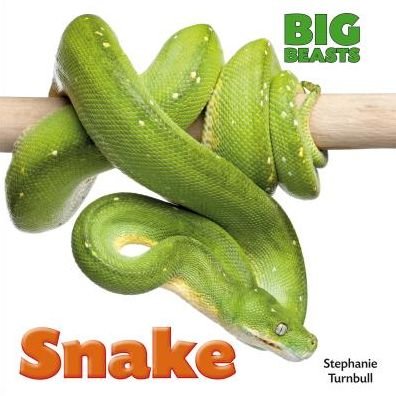 Snake (Big Beasts) - Stephanie Turnbull - Böcker - Smart Apple Media - 9781625881717 - 2015