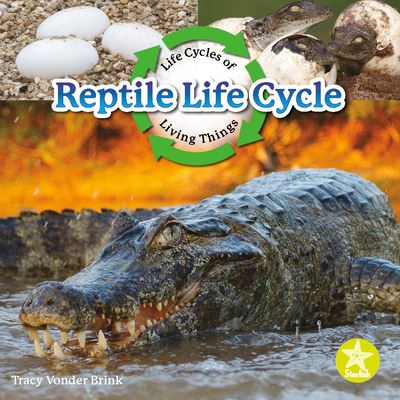 Cover for Tracy Vonder Brink · Reptile Life Cycle (Book) (2022)