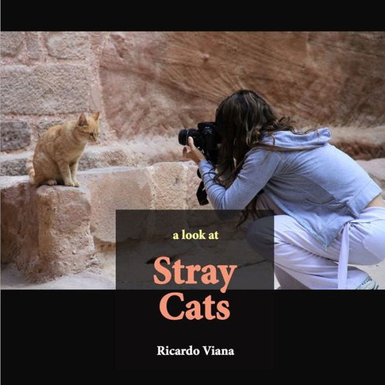 Cover for Ricardo Viana · Stray cats (Paperback Book) (2019)