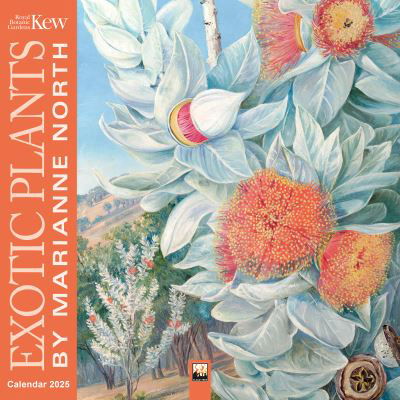 Kew Gardens: Exotic Plants by Marianne North Wall Calendar 2025 (Art Calendar) -  - Koopwaar - Flame Tree Publishing - 9781835620717 - 18 juni 2024