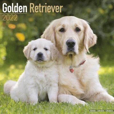 Cover for Kalender · Golden Retriever 2022 Wall Calendar (Calendar) (2021)