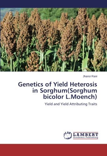 Cover for Jhansi Rani · Genetics of Yield Heterosis in Sorghum (Sorghum Bicolor L.moench): Yield and Yield Attributing Traits (Paperback Bog) (2014)