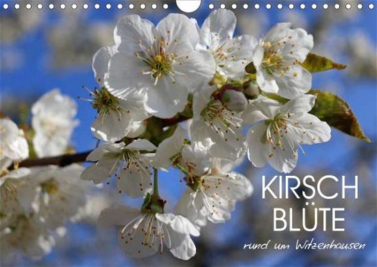 Kirschblüte rund um Witzenhausen - Löwer - Kirjat -  - 9783672476717 - 