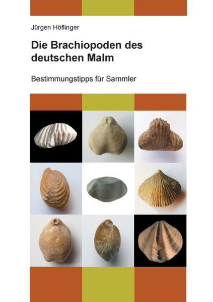 Cover for Höflinger · Die Brachiopoden des deutsche (Book) (2018)