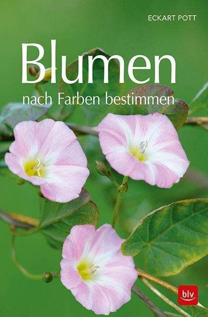 Cover for Pott · Blumen nach Farben bestimmen (Bog)