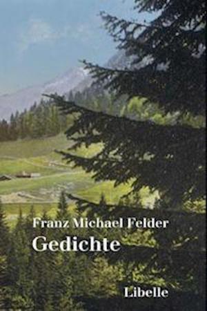 Cover for Franz Michael Felder · Gedichte (Paperback Book) (2021)