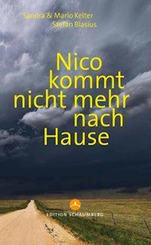 Stefan Blasius · Nico kommt nicht mehr nach Hause (Pocketbok) (2020)