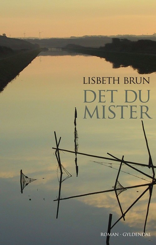 Cover for Lisbeth Brun · Det du mister (Sewn Spine Book) [1.º edición] (2011)