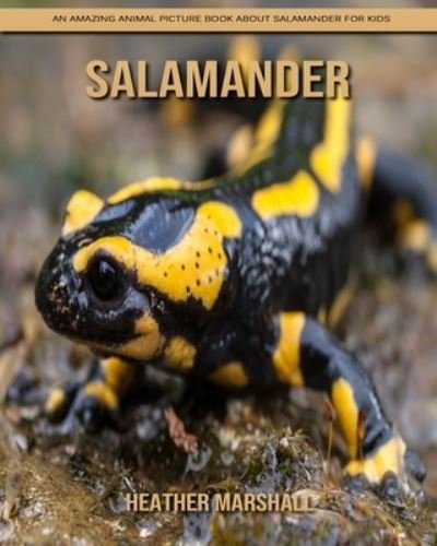 Salamander: An Amazing Animal Picture Book about Salamander for Kids - Heather Marshall - Livres - Independently Published - 9798738437717 - 15 avril 2021
