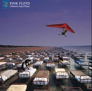 Cover for Pink Floyd · A Momentary Lapse Of Reason (LP) (2021)