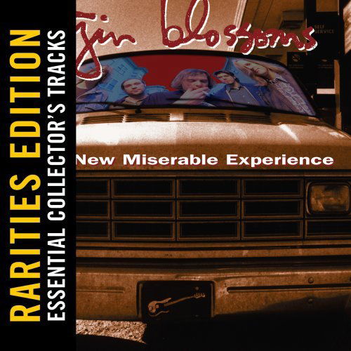 New Miserable Experience - Gin Blossoms - Musiikki - POP - 0602527266718 - maanantai 28. kesäkuuta 2021