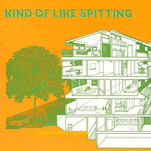 Cover for Kind Of Like Spitting · Bridges Worth Burning (LP) (2015)