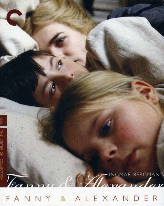 Cover for Criterion Collection · Fanny &amp; Alexander/bd (Blu-Ray) (2011)