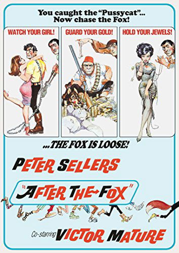 Cover for After the Fox (DVD) (2016)