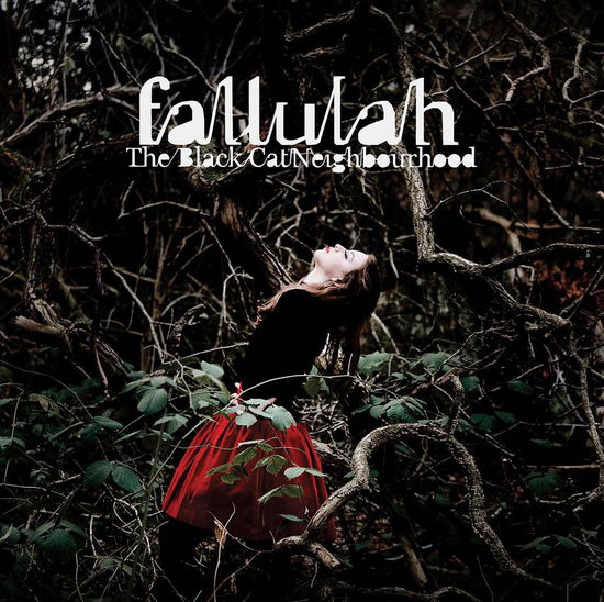 The Black Cat Neighbourhood - Fallulah - Musik - Sony Owned - 0886978194718 - 17. januar 2011