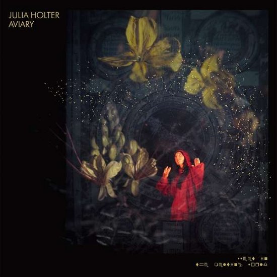 Aviary - Julia Holter - Musik - DOMINO - 0887828041718 - 26. Oktober 2018