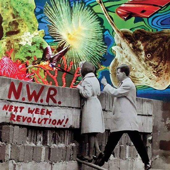 Cover for Next Week Revolution N.w.r. · Next Week Revolution (LP) (2021)