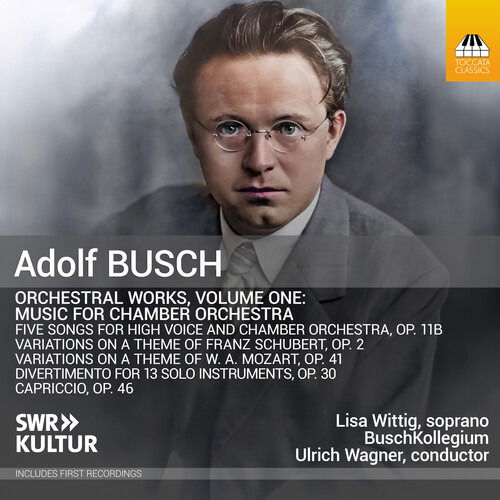 Cover for BuschKollegium · Orchestral Works volume One: Music for Chamber Orchestra (CD) (2024)