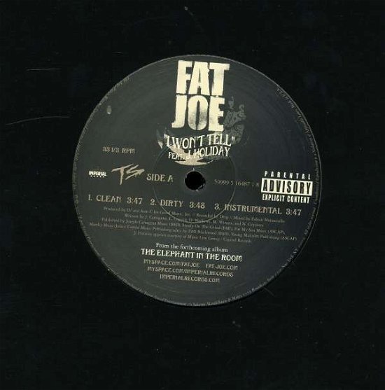 Cover for Fat Joe · I Won't Tell (LP) (2008)