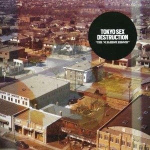 Cover for Tokyo Sex Destruction · Neighbourhood (LP) (2009)