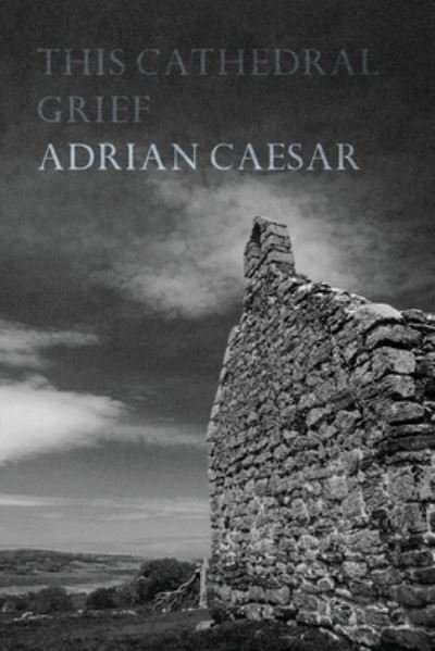 Cover for Adrian Caesar · This Cathedral Grief (Paperback Book) (2020)