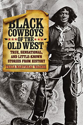 Black Cowboys of the Old West: True, Sensational, And Little-Known Stories From History - Tricia Martineau Wagner - Books - Rowman & Littlefield - 9780762760718 - February 21, 2011