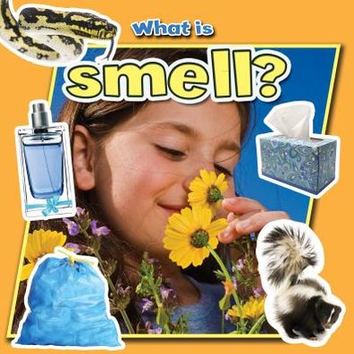 Cover for Molly Aloian · What is smell? (Book) (2013)