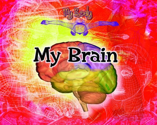 Cover for Kathy Furgang · My Brain (My Body) (Hardcover Book) (2000)